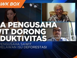 Dorong Produktivitas, Cara Pengusaha Sawit Setop Deforestasi