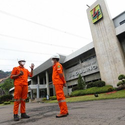PLN 'Haqqul Yakin' DMO Batu Bara Mulus hingga Akhir Tahun