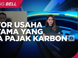 PLTU Batu Bara, Sektor Usaha Pertama Yang Kena Pajak Karbon