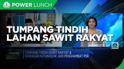Tumpang Tindih Lahan Sawit Rakyat Hambat Program PSR