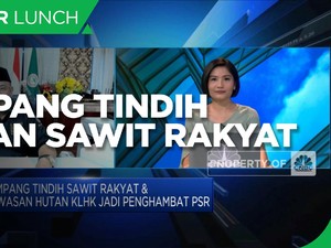 Tumpang Tindih Lahan Sawit Rakyat Hambat Program PSR