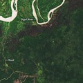NASA Rilis Hutan Papua Makin Gundul, Ini Bantahan KLHK!