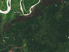 NASA Rilis Hutan Papua Makin Gundul, Ini Bantahan KLHK!