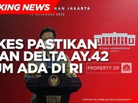 Menkes Pastikan Varian Delta AY.42 Belum Ditemukan di RI