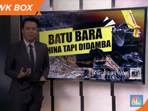 Batu Bara Dihina Tapi Didamba