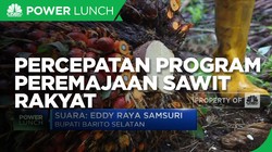 Peran Pemda Dorong Percepatan Program Peremajaan Sawit Rakyat