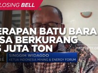 PLTU Pensiun Dini, Serapan Batu Bara Bisa Turun 25 Juta Ton