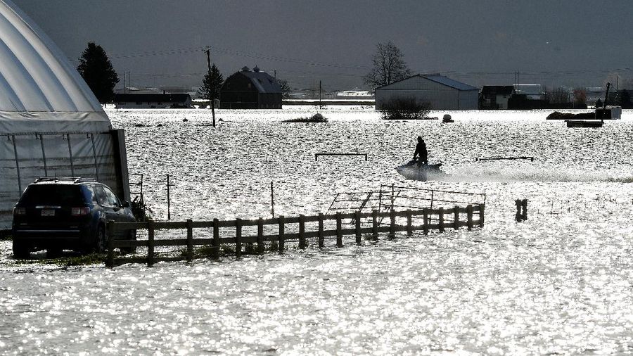 A person riding a Sea-Doo passes through a flooded farm after rainstorms caused flooding and landslides in Abbotsford, British Columbia, Canada November 16, 2021.  REUTERS/Jennifer Gauthier