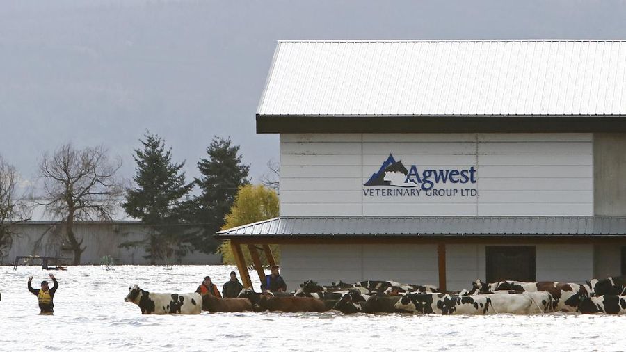 South Parallel road is submerged in flood water after rainstorms caused flooding and landslides in Abbotsford, British Columbia, Canada November 16, 2021.  REUTERS/Jennifer Gauthier