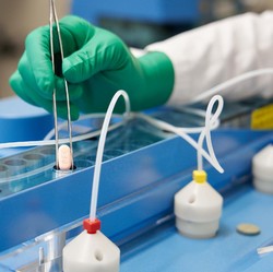 Obat Covid Disetujui, Bursa Berpeluang Cetak Reli Tajam
