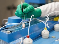 Sah! China Setujui Penggunaan Obat Covid Paxlovid Pfizer