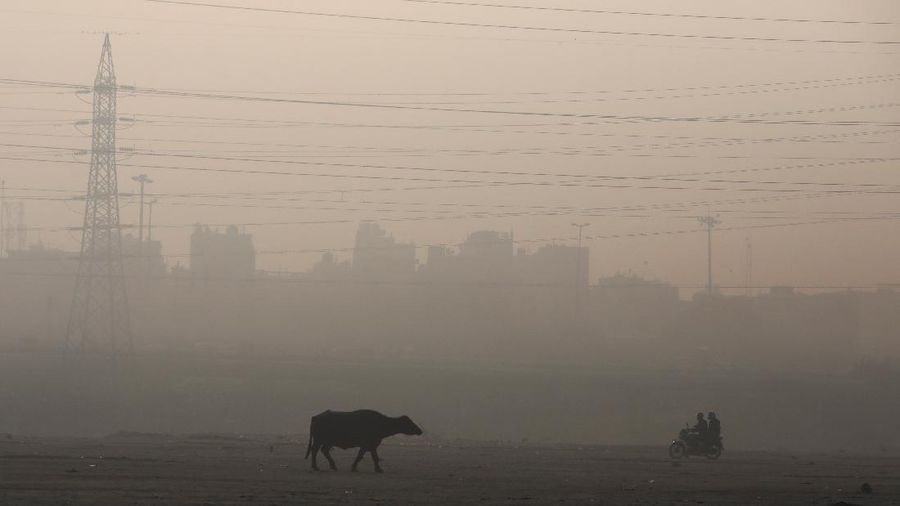People play cricket on the floodplains of the Yamuna river on a smoggy morning in New Delhi, India, November 17, 2021. REUTERS/Anushree Fadnavis