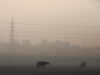 Ancaman Selain Covid Nyata, Puluhan Ribu Meninggal di India!