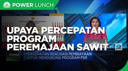 Langkah Kemenko Perekonomi Percepat Program Peremajaan Sawit