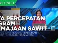 Langkah Kemenko Perekonomi Percepat Program Peremajaan Sawit