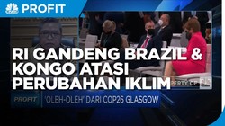Wamen LHK: RI Gandeng Brazil & Kongo Atasi Perubahan Iklim