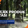 Eropa Tolak Produk Deforestasi