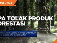 Eropa Tolak Produk Deforestasi