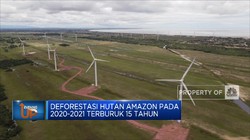 Deforestasi Hutan Amazon Pecah Rekor 15 Tahun
