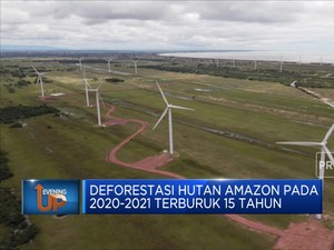 Deforestasi Hutan Amazon Pecah Rekor 15 Tahun