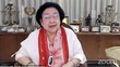 Cerita Megawati yang Miris Kunyit Produksi RI Banyak Diekspor