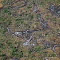 Astaga Bolsonaro! Amazon Makin Gundul, Pembabatan Hutan Rekor