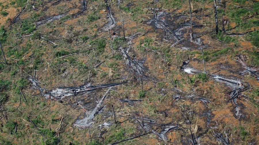 Kerusakan hutan di hutan Amazone, Brazil. (REUTERS/ADRIANO MACHADO)
