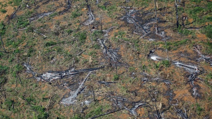 Kerusakan hutan di hutan Amazone, Brazil. (REUTERS/ADRIANO MACHADO)