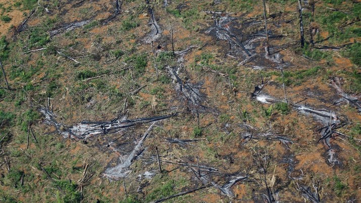 Kerusakan hutan di hutan Amazone, Brazil. (REUTERS/ADRIANO MACHADO) Kerusakan hutan di hutan Amazone, Brazil. (REUTERS/ADRIANO MACHADO)