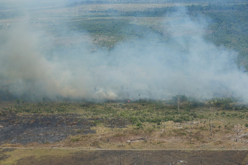 Kerusakan hutan di hutan Amazone, Brazil. (REUTERS/Ueslei Marcelino)