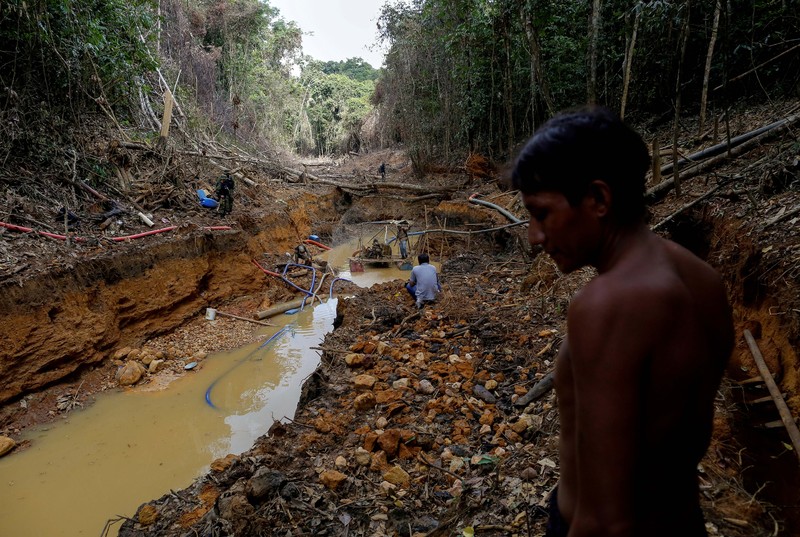 Kerusakan hutan di hutan Amazone, Brazil. (REUTERS/Ueslei Marcelino)