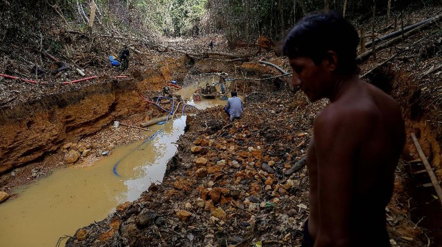 Kerusakan hutan di hutan Amazone, Brazil. (REUTERS/Ueslei Marcelino)