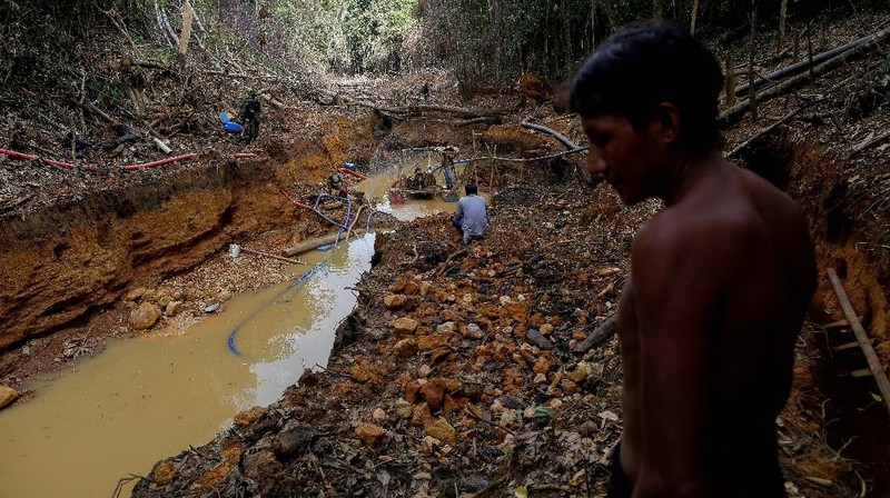 Kerusakan hutan di hutan Amazone, Brazil. (REUTERS/Ueslei Marcelino)