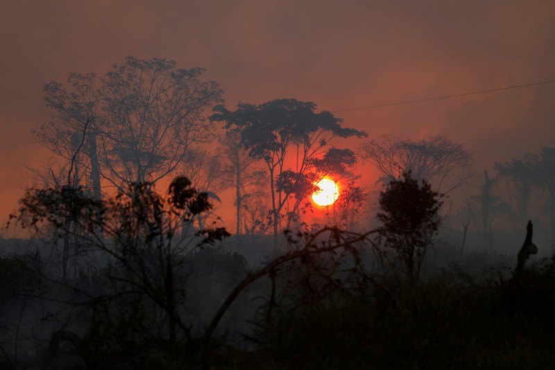 Kerusakan hutan di hutan Amazone, Brazil. (REUTERS/Ueslei Marcelino)