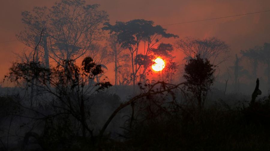 Kerusakan hutan di hutan Amazone, Brazil. (REUTERS/BRUNO KELLY)