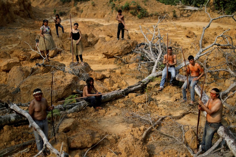 Kerusakan hutan di hutan Amazone, Brazil. (REUTERS/Ueslei Marcelino)