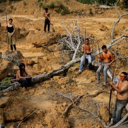 Lingkaran Kiamat 15 Tahun Lagi, Pulau Tenggelam Hutan Musnah