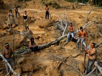 Lingkaran Kiamat 15 Tahun Lagi, Pulau Tenggelam Hutan Musnah
