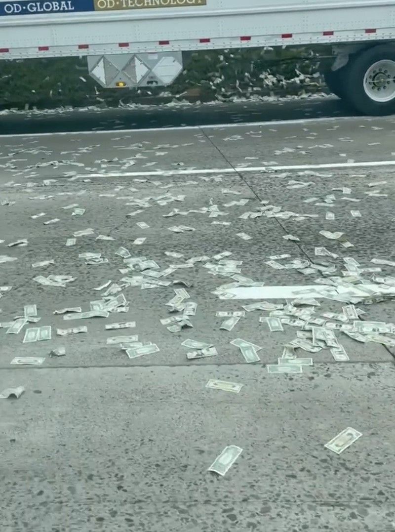 Warga berhamburan keluar mobil untuk memunguti uang dari 'hujan duit' di tol California, Amerika Serikat. Akibat kehebohan ini pun memicu kemacetan. (Instagram @demibagby) Warga berhamburan keluar mobil untuk memunguti uang dari 'hujan duit' di tol California, Amerika Serikat. Akibat kehebohan ini pun memicu kemacetan. (Instagram @demibagby)