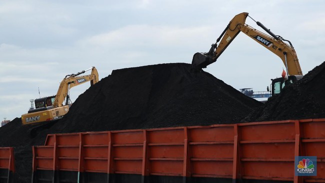 Harga Batu Bara Jatuh Lagi Tapi Masih Ada Kabar Bahagia Buat RI