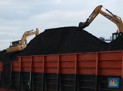 Harga Batu Bara Jatuh Lagi Tapi Masih Ada Kabar Bahagia Buat RI