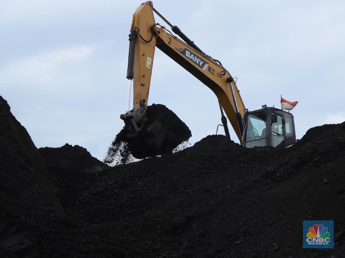 Pemerintah Revisi Tarif Royalti Batu Bara dan Minerba untuk Pendapatan Negara