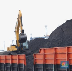 Harga Batu Bara Rekor Tertinggi 3 Bulan,