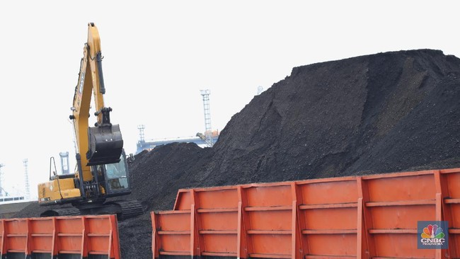 Bea Keluar Batu Bara-Nikel Dasar Bea Cukai Periksa Kapal Eksportir