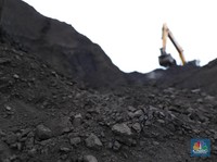Jual Saham IPO Rp 100, Ada Taipan Borneo di Black Diamond