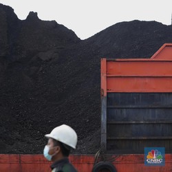 Harga Batu Bara Ambruk 6 Hari Beruntun, Masa Depan Suram