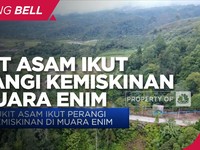 Bukit Asam Ikut Perangi Kemiskinan di Muara Enim