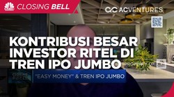 Kontribusi Besar Investor Ritel di Tren IPO Jumbo