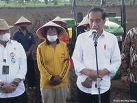 Jokowi Punya Jurus Setop Impor Jagung, Penasaran? Simak!