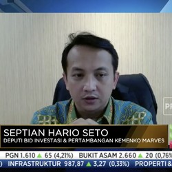Sempat PHP Luhut, Tesla Mau Investasi Power Bank Raksasa RI